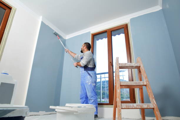 Best Stucco Painting  in Foresthill, CA